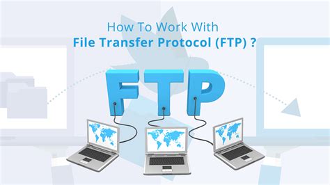 file transfer programs belong in what software category? Do you think file transfer protocols like FTP and SFTP fit better into the internet category?